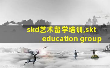 skd艺术留学培训,skt education group